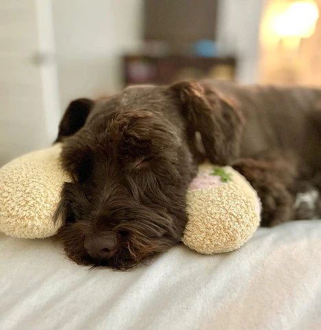 Almohada para mascotas