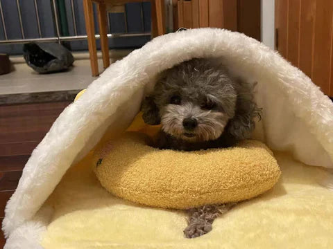 Almohada para mascotas